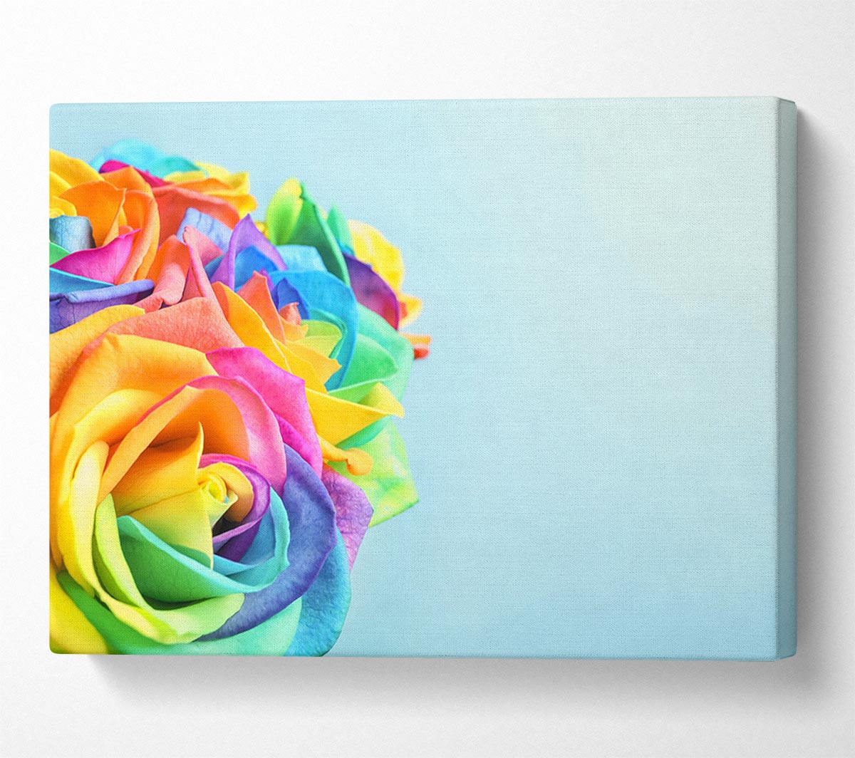 Rose colour rainbow Canvas Wall Art