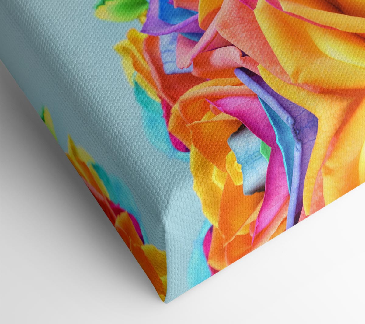 Rose colour rainbow Canvas Wall Art
