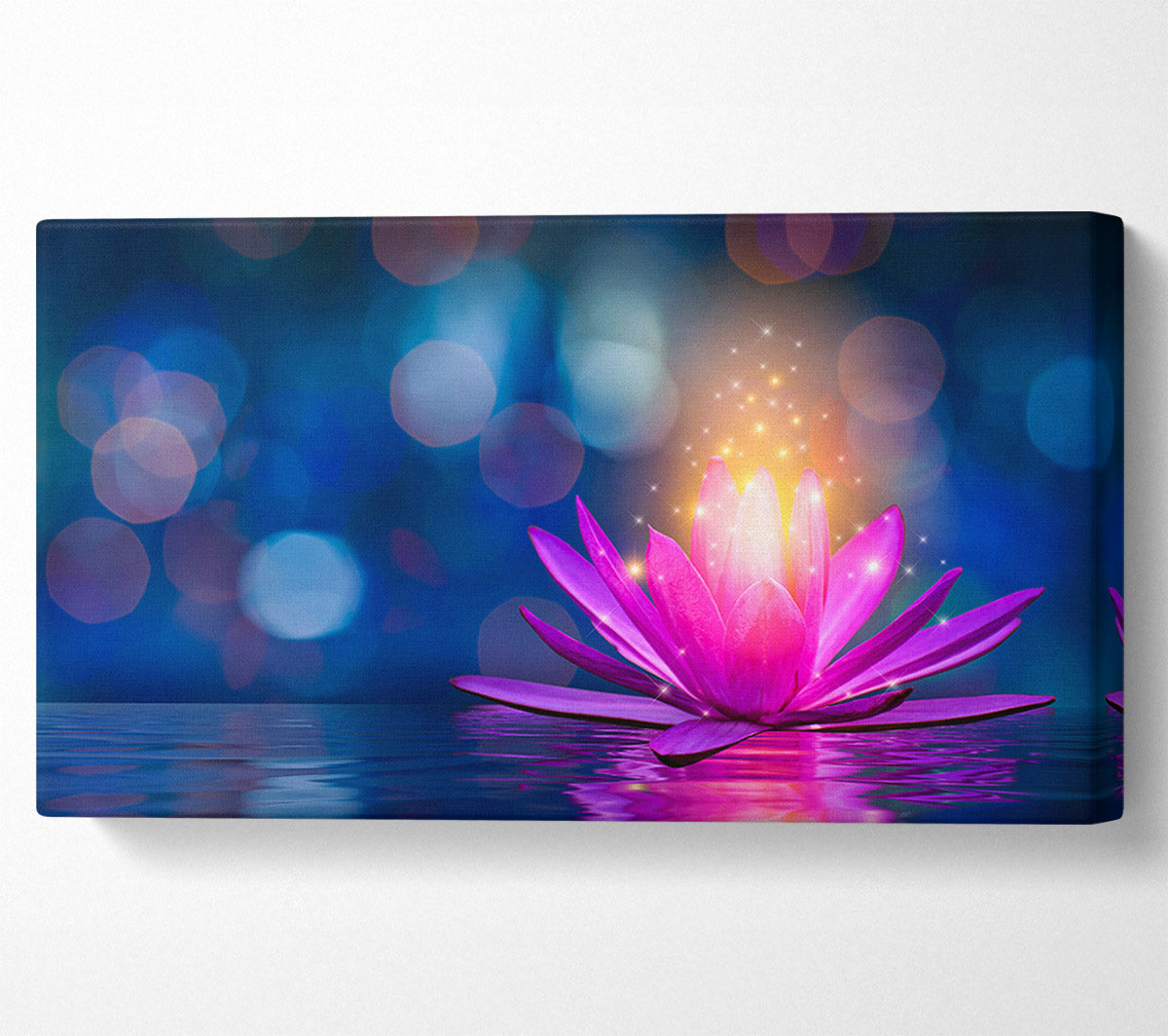 Spores of light from a lilly Canvas Wall Art