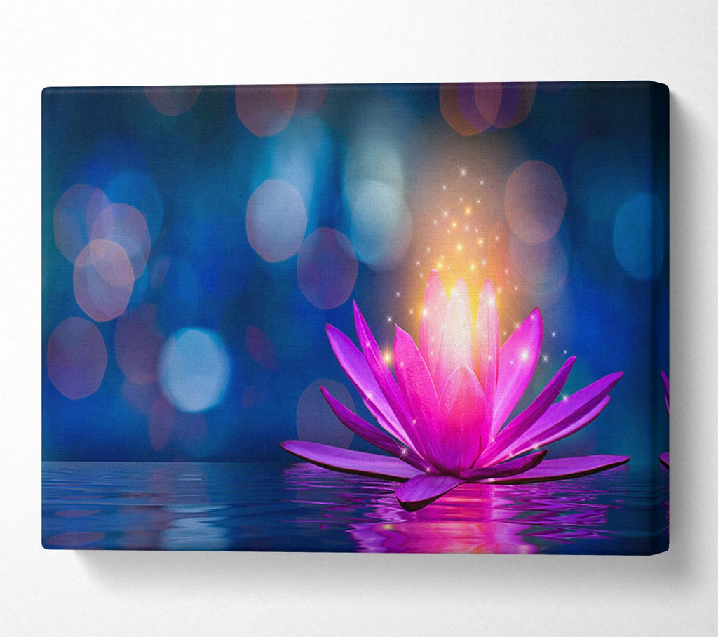 Spores of light from a lilly Canvas Wall Art