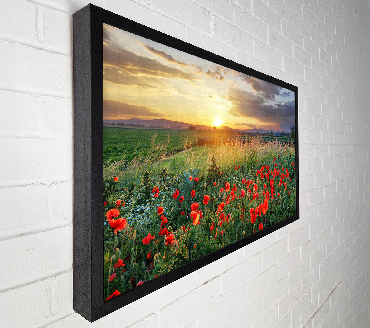 Red poppies in the green countryside Canvas Wall Art