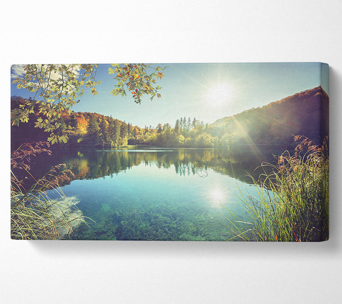 View of the lake through the branches Canvas Wall Art