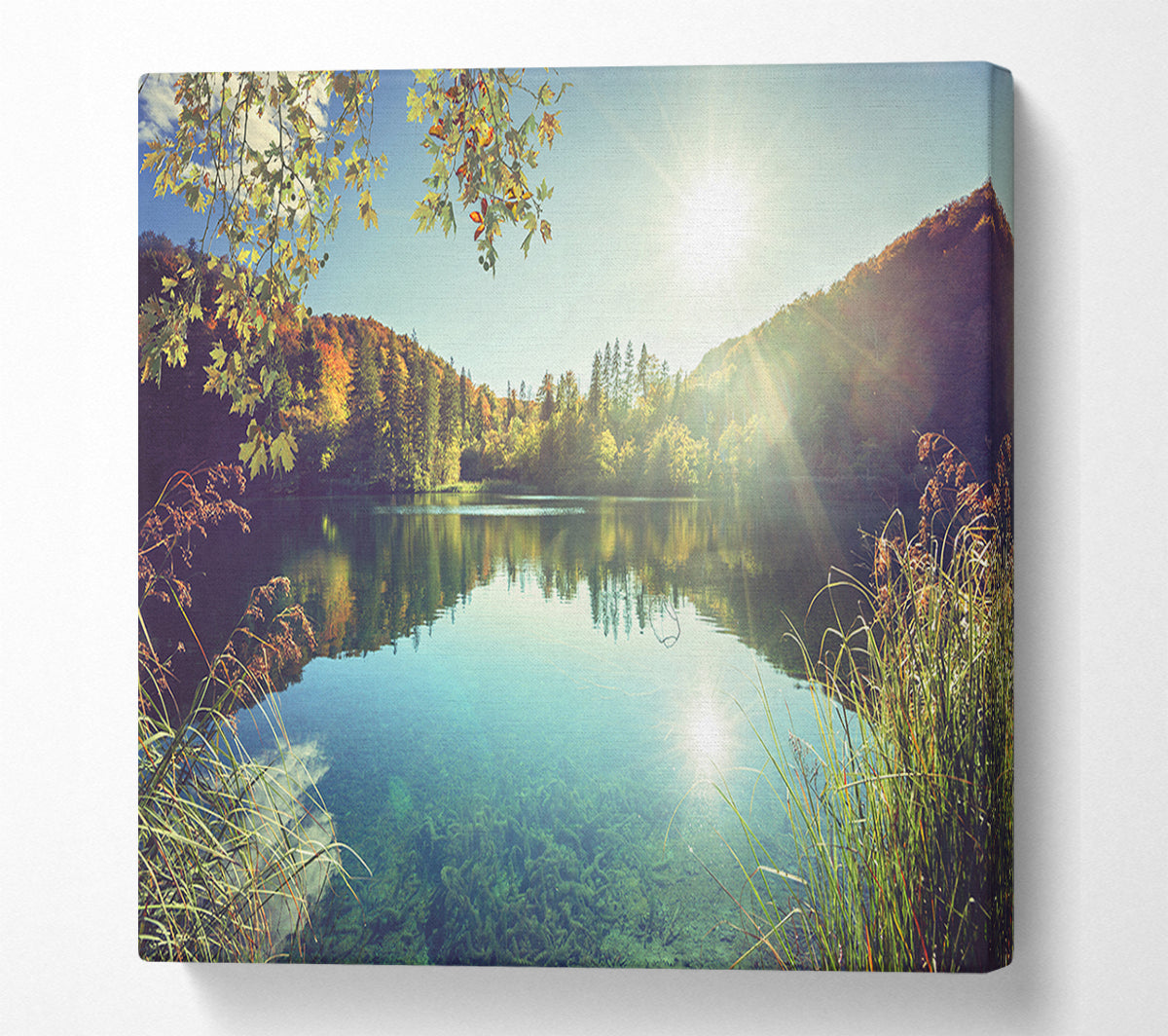 View of the lake through the branches Canvas Wall Art