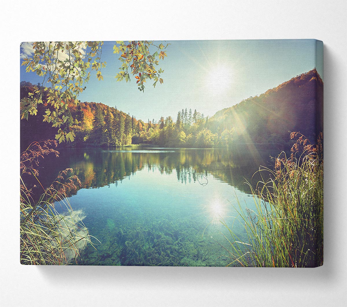 View of the lake through the branches Canvas Wall Art
