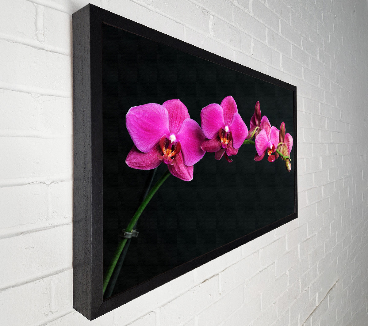 Pink Orchids Curve Canvas Wall Art
