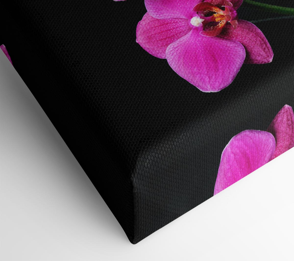 Pink Orchids Curve Canvas Wall Art