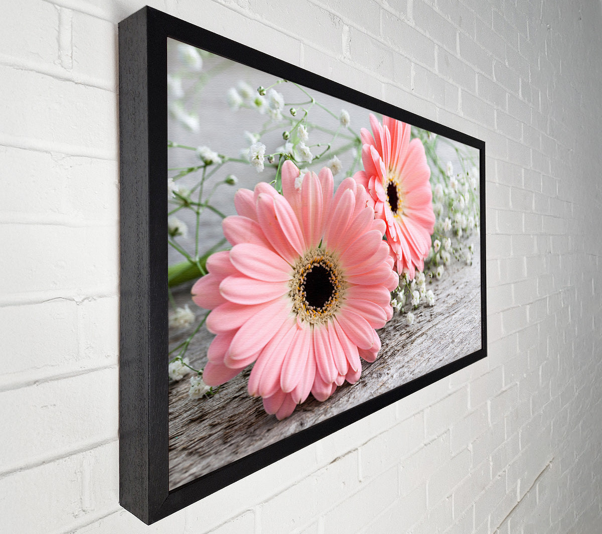 Pink gerbera laying down close Canvas Wall Art