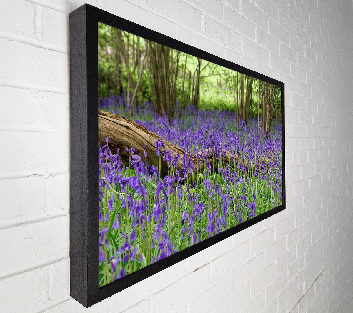 Purple flowers in the meadow Canvas Wall Art