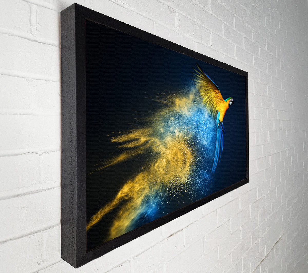 powder parrot take off Canvas Wall Art