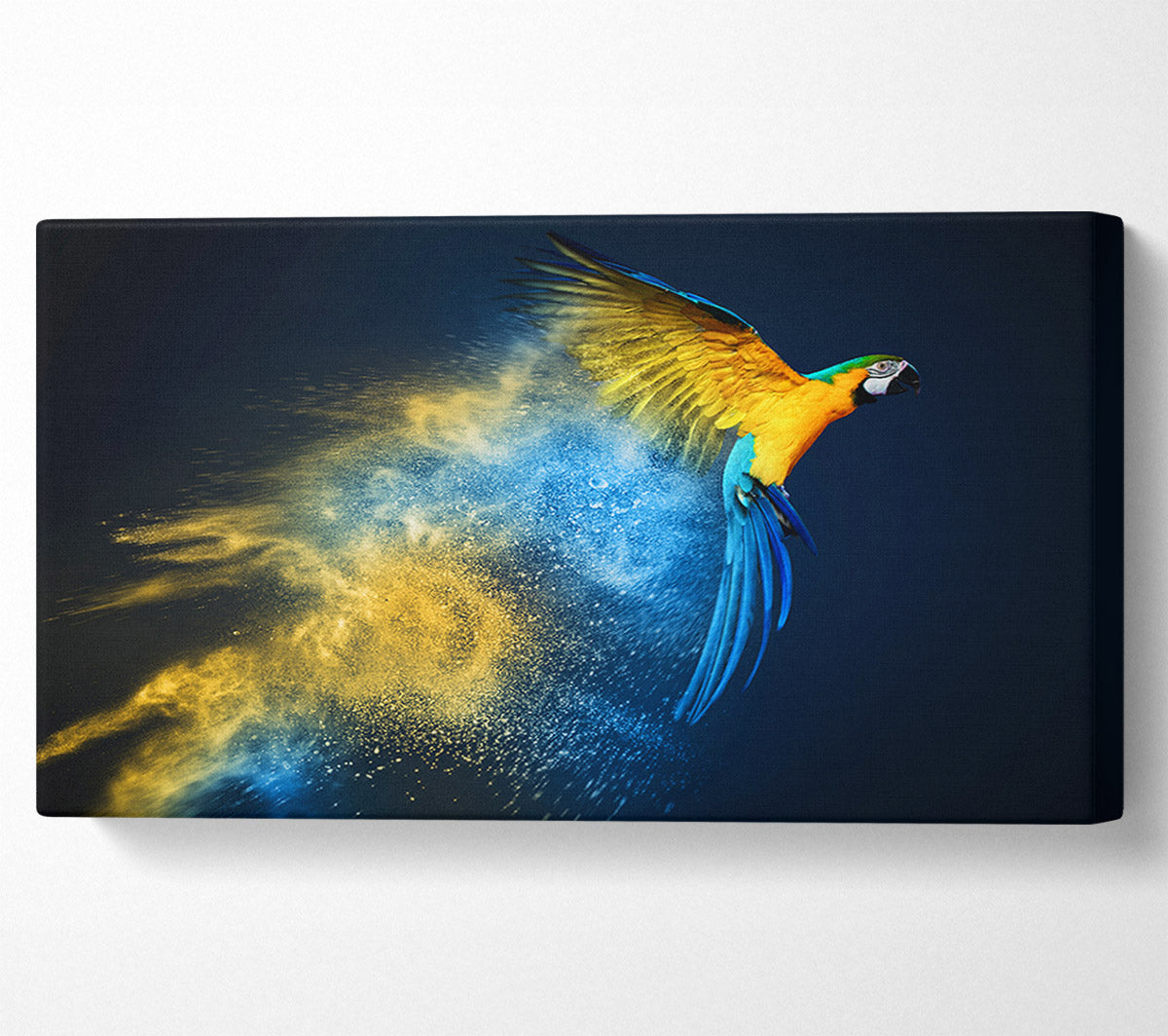 powder parrot take off Canvas Wall Art