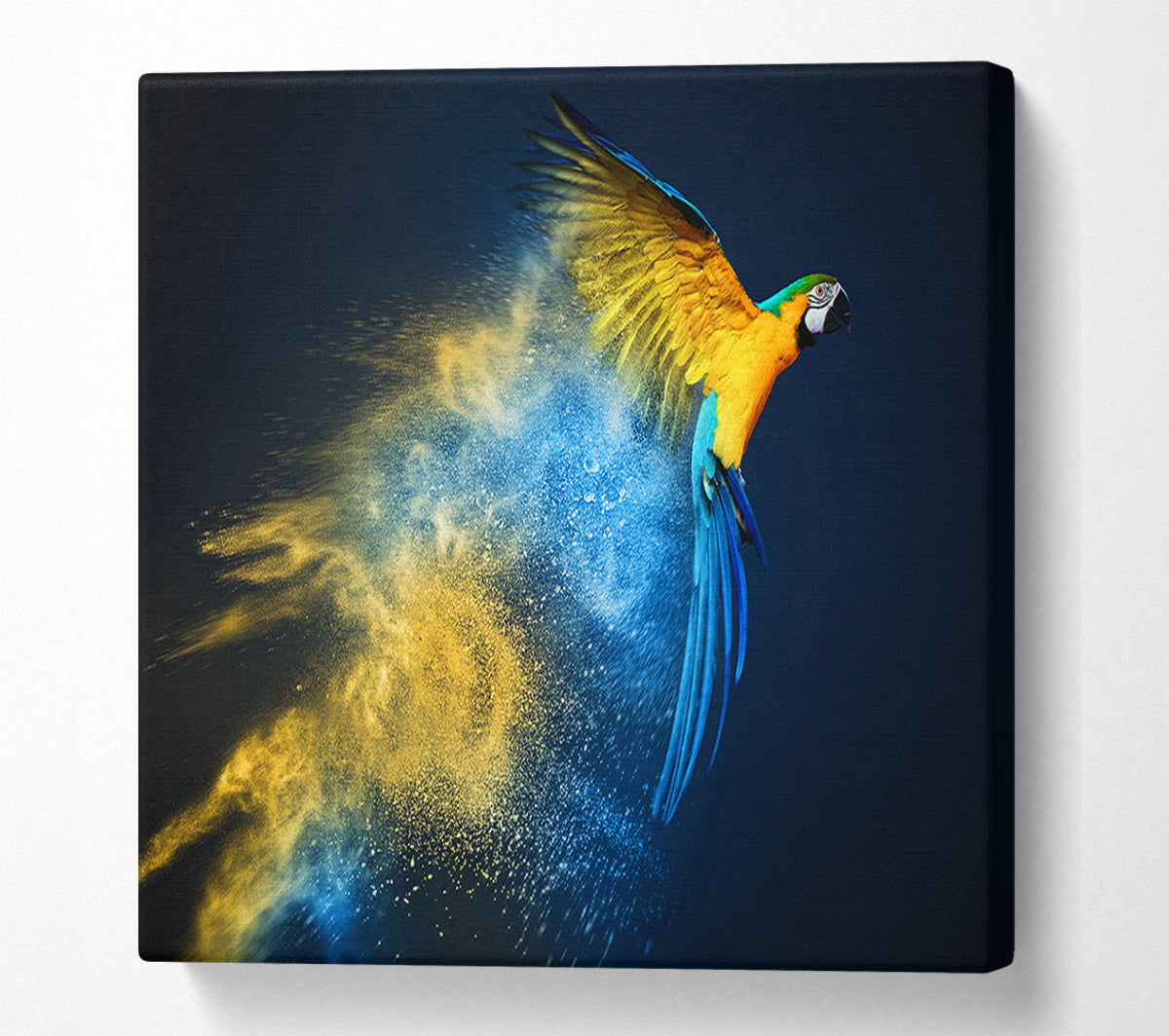 powder parrot take off Canvas Wall Art