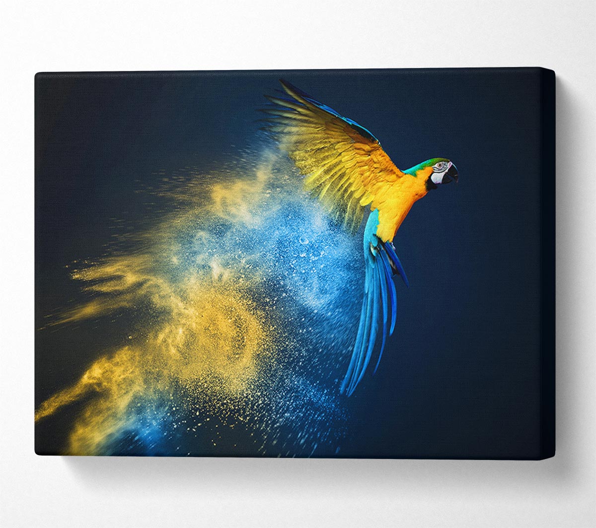 powder parrot take off Canvas Wall Art
