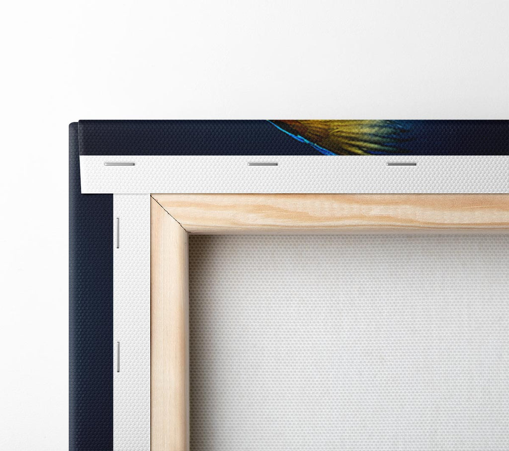powder parrot take off Canvas Wall Art