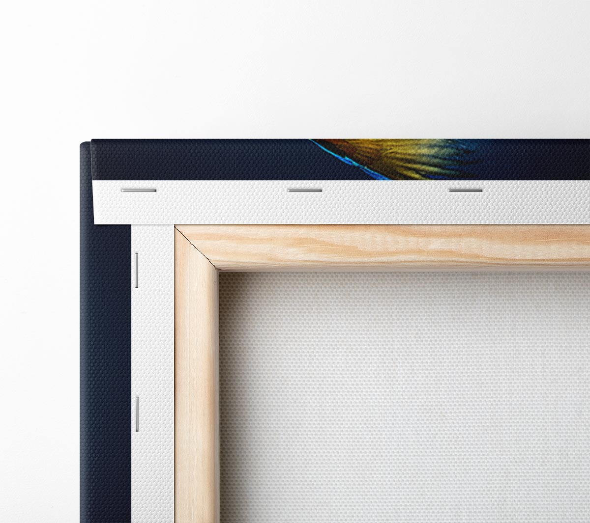 powder parrot take off Canvas Wall Art