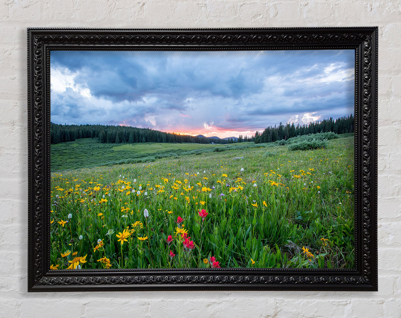 Spring meadow between the trees Framed Print