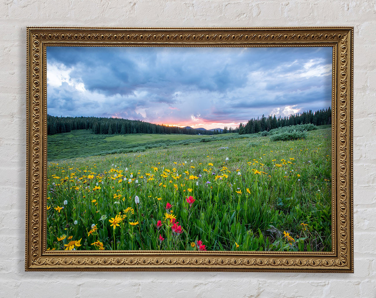 Spring meadow between the trees Framed Print