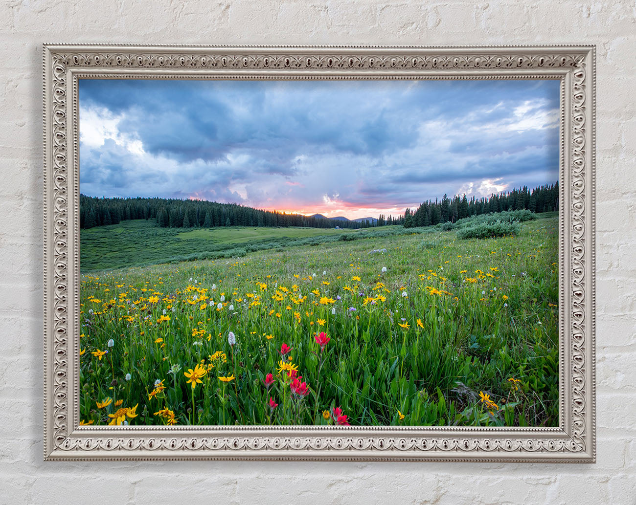 Spring meadow between the trees Framed Print