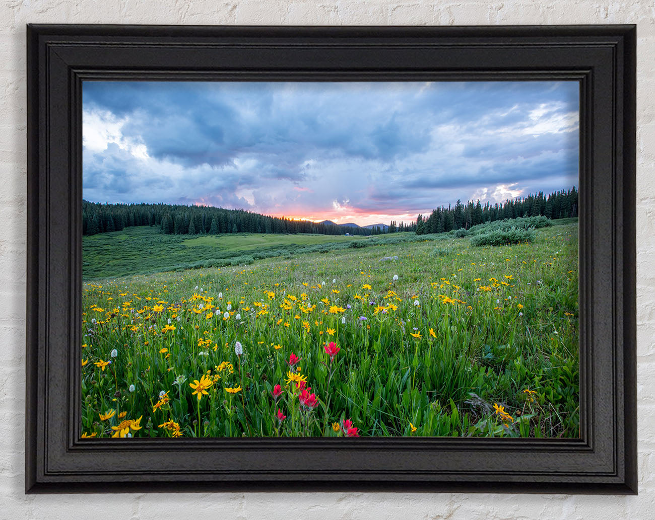 Spring meadow between the trees Framed Print