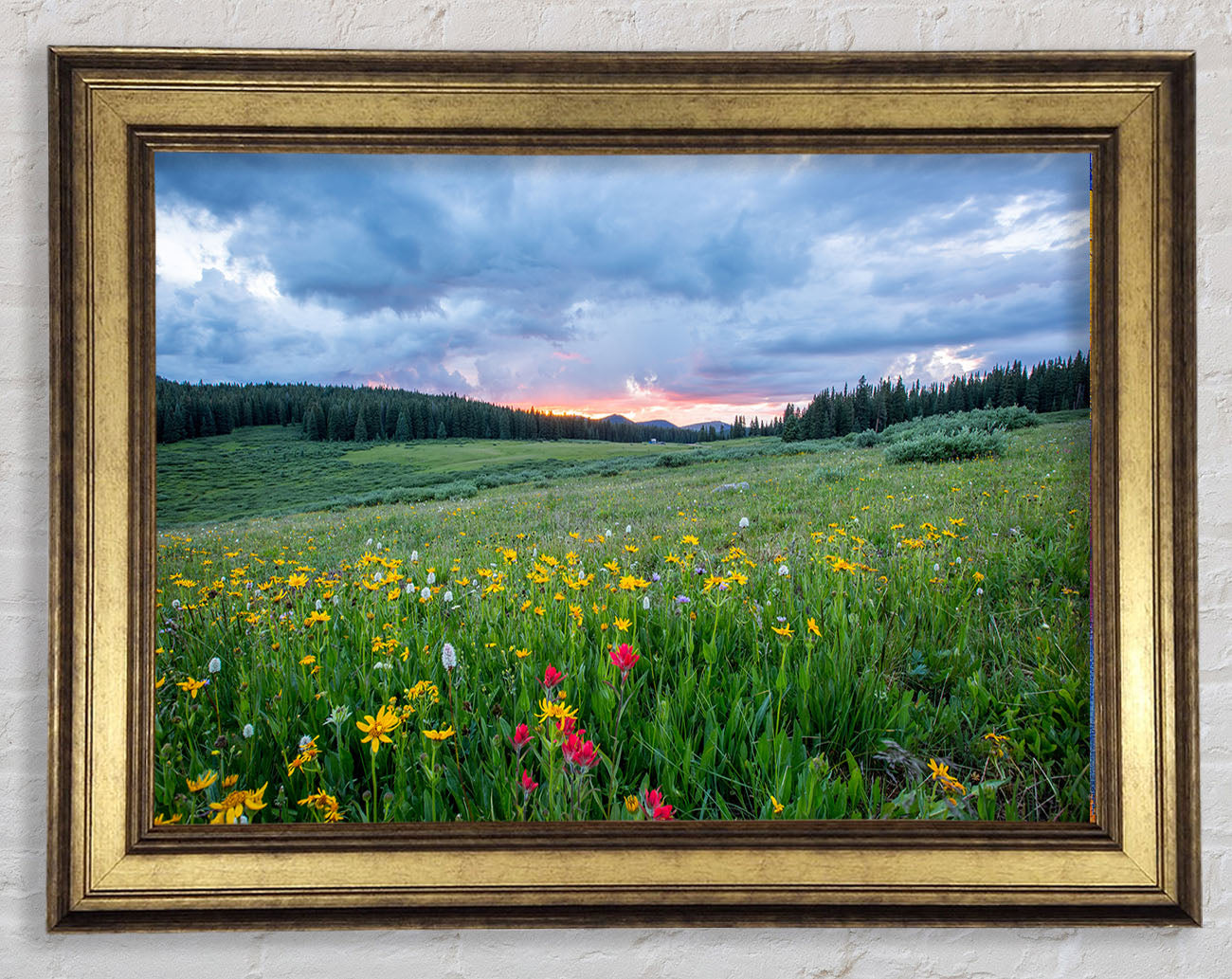Spring meadow between the trees Framed Print