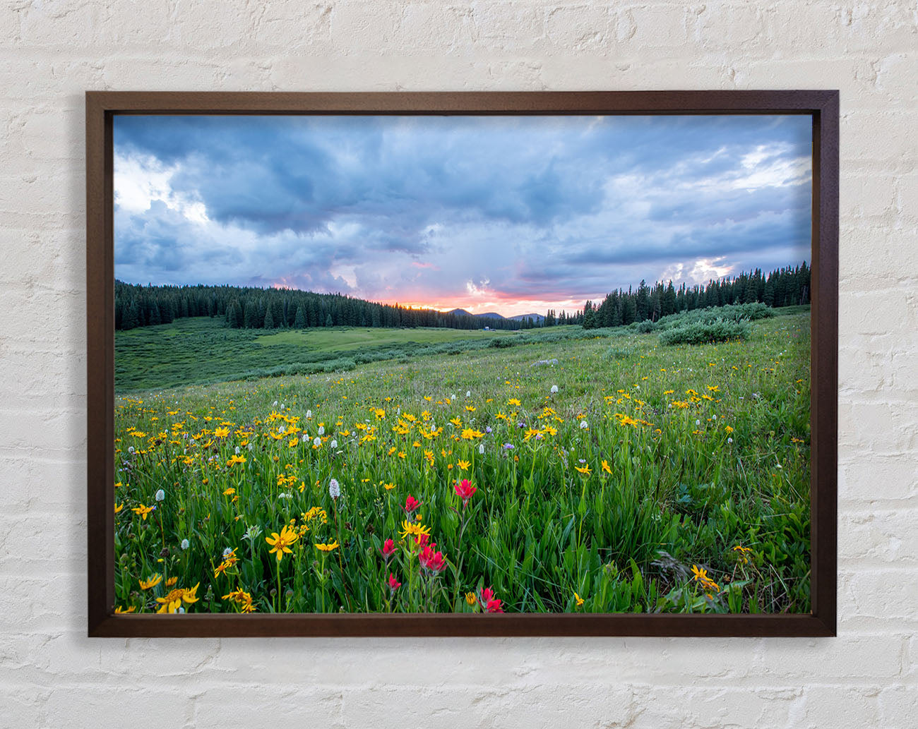 Spring meadow between the trees Framed Print