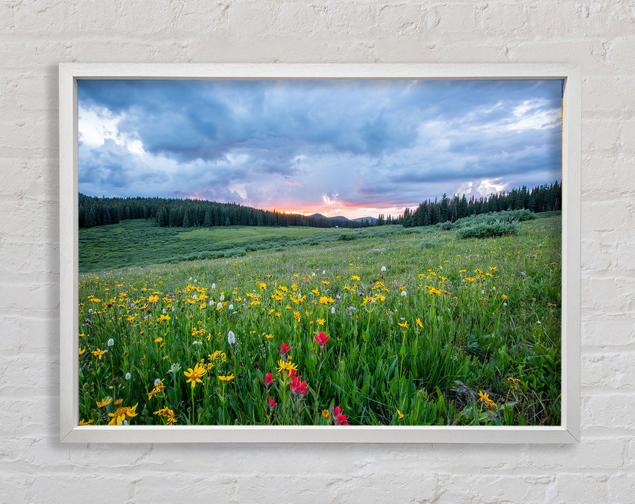 Spring meadow between the trees Framed Print