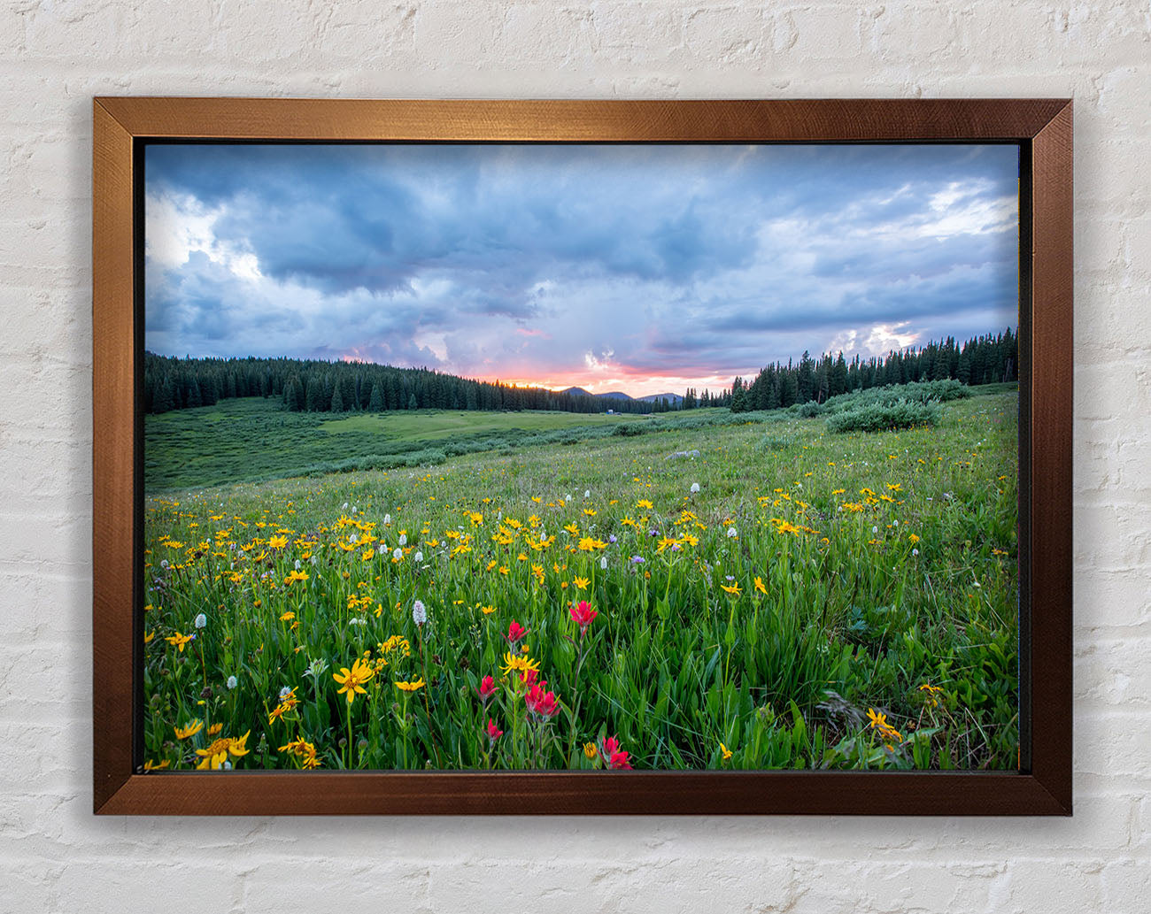 Spring meadow between the trees Framed Print