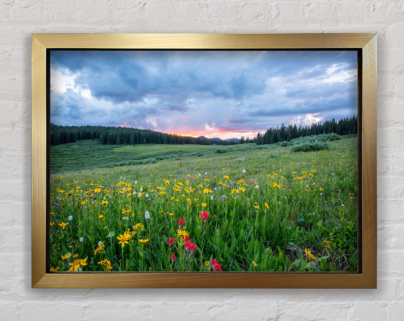 Spring meadow between the trees Framed Print