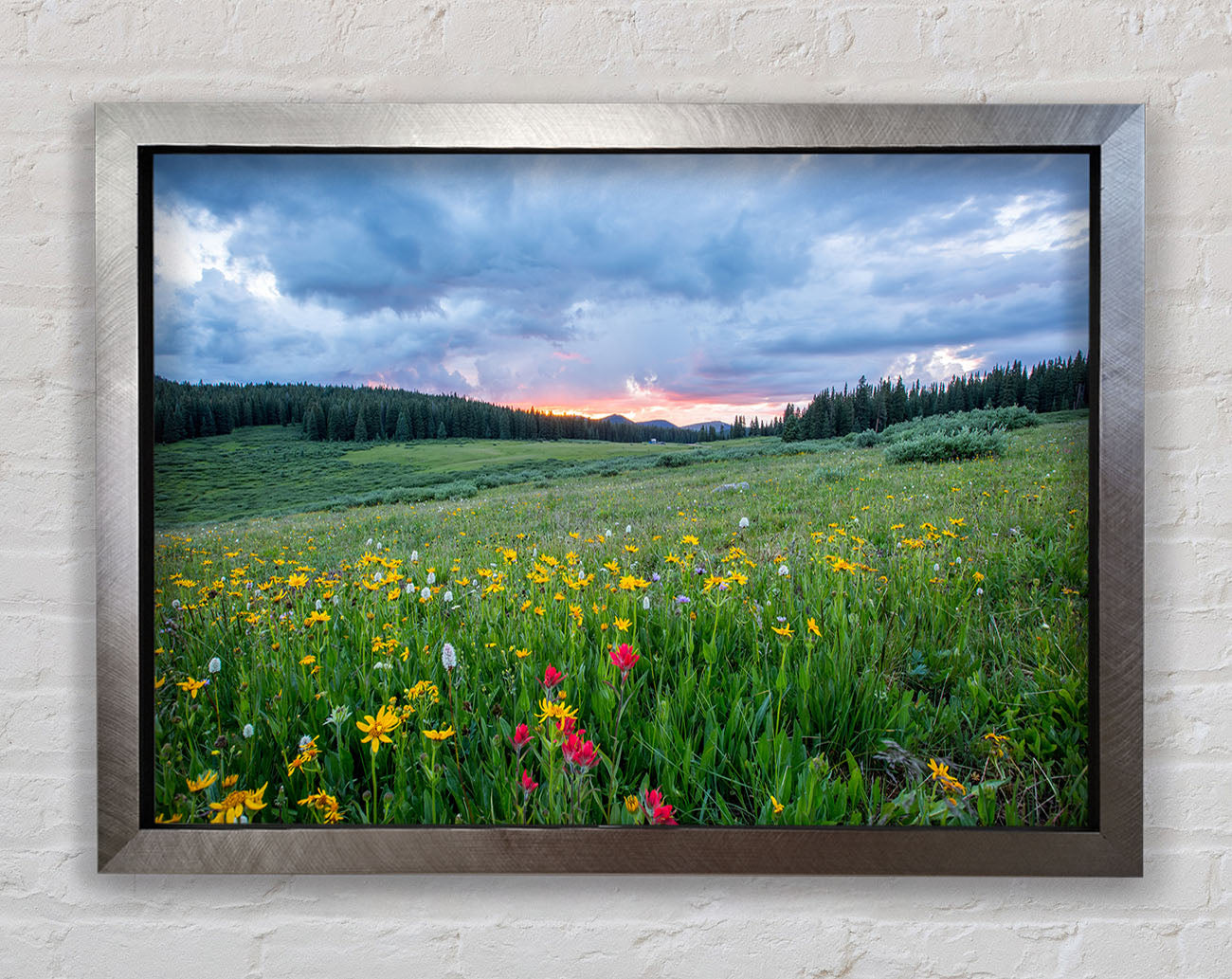 Spring meadow between the trees Framed Print