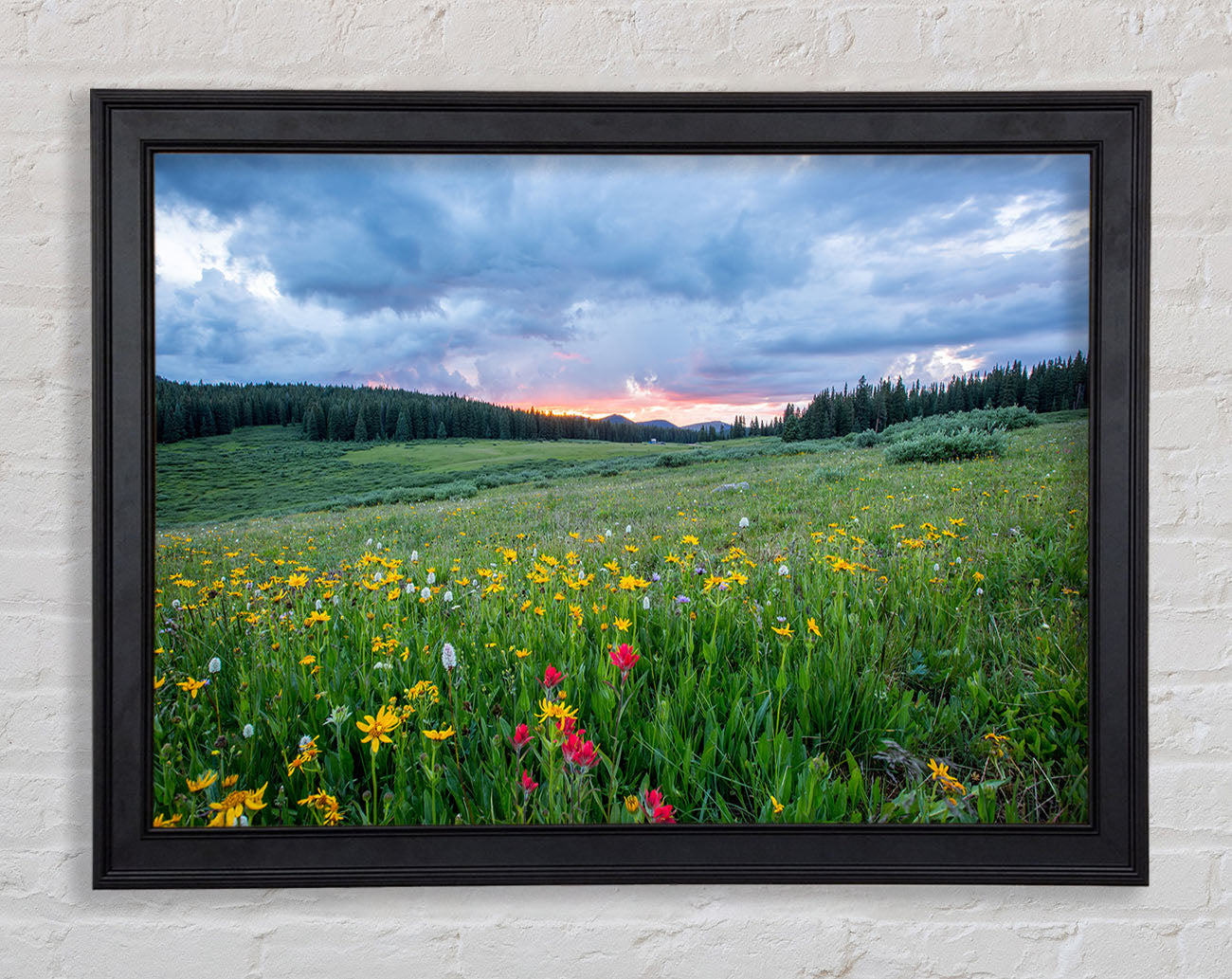 Spring meadow between the trees Framed Print