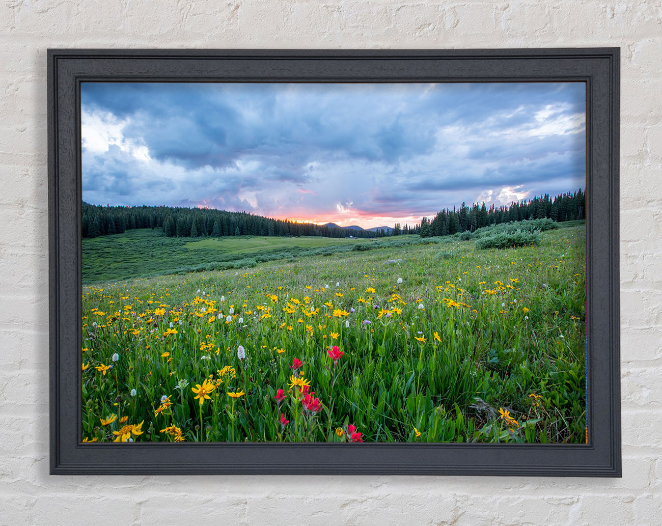 Spring meadow between the trees Framed Print