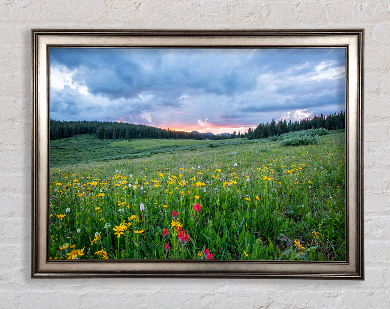 Spring meadow between the trees Framed Print