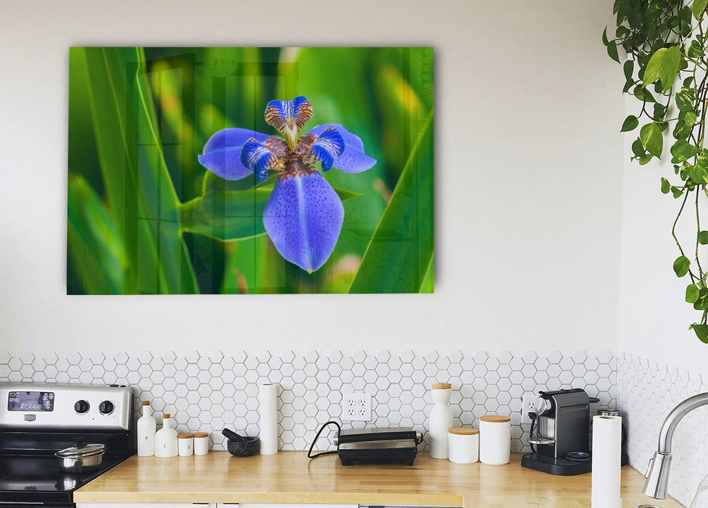 Tiny blue flower in shot