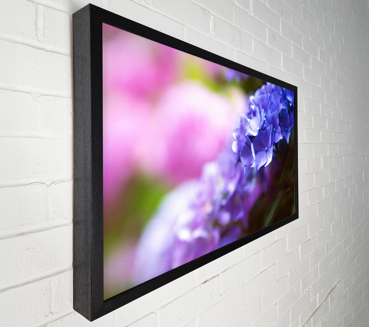 Pretty small purple flowers Canvas Wall Art
