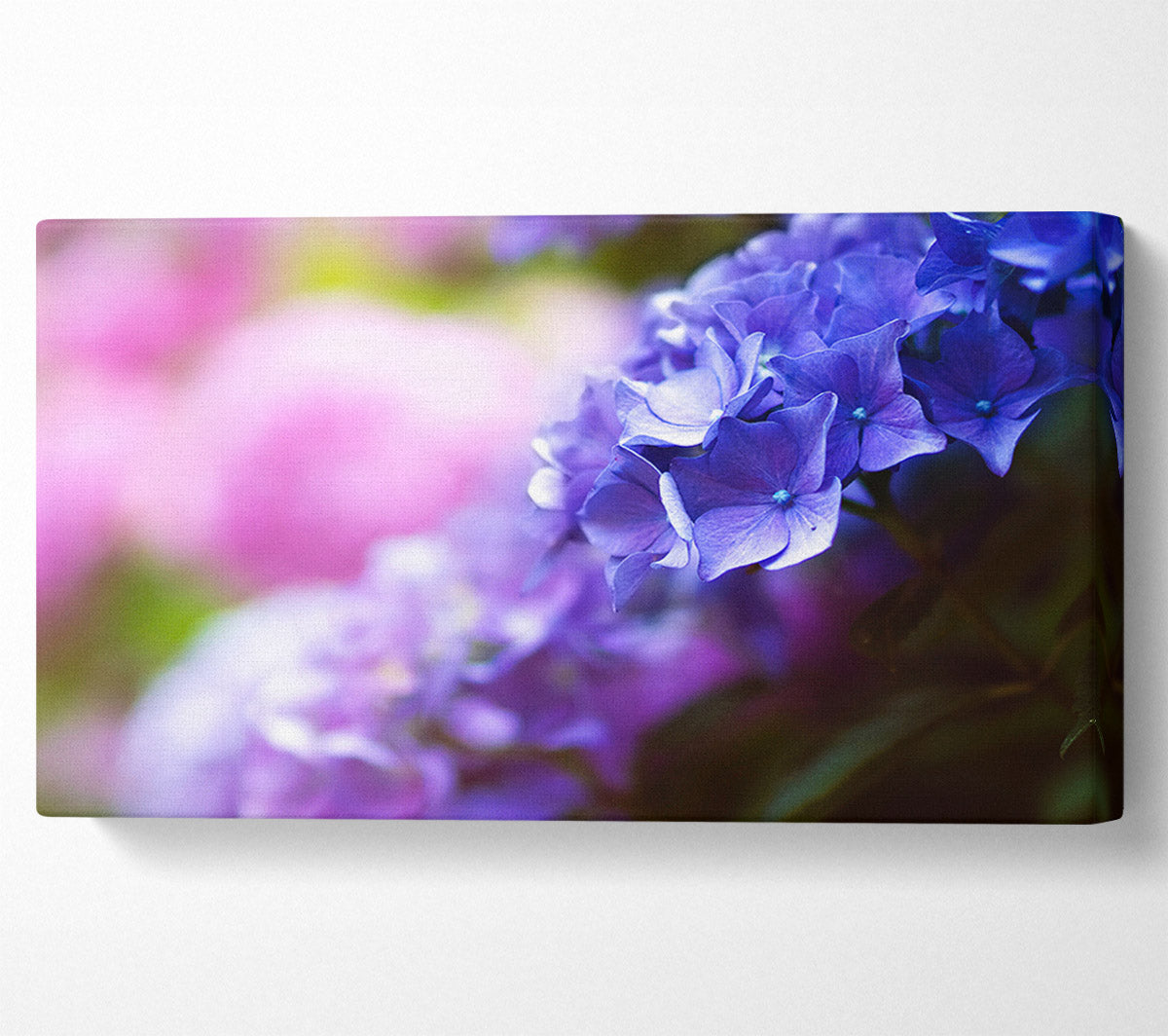 Pretty small purple flowers Canvas Wall Art