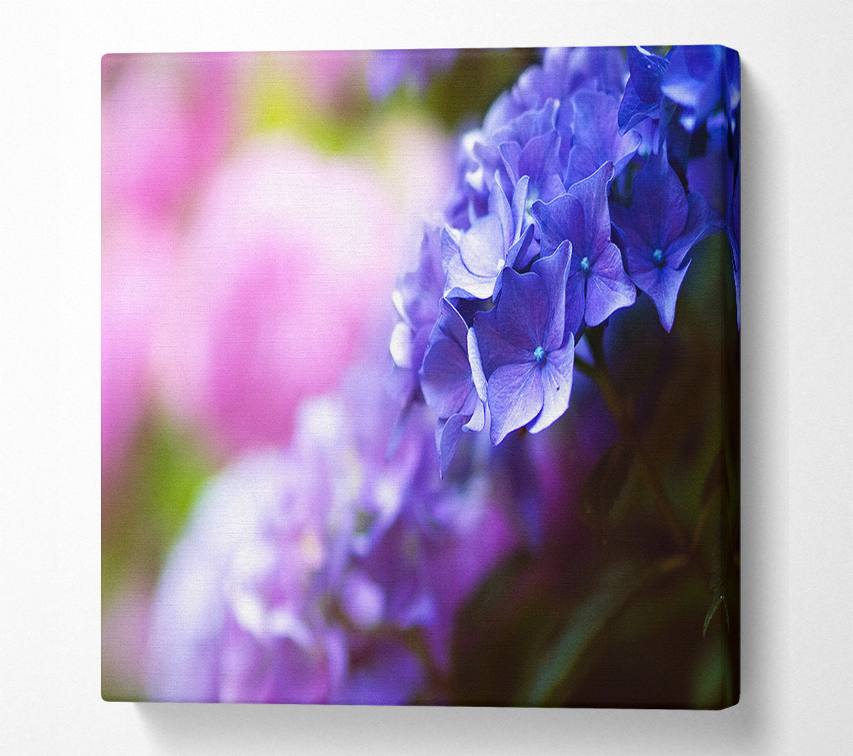 Pretty small purple flowers Canvas Wall Art