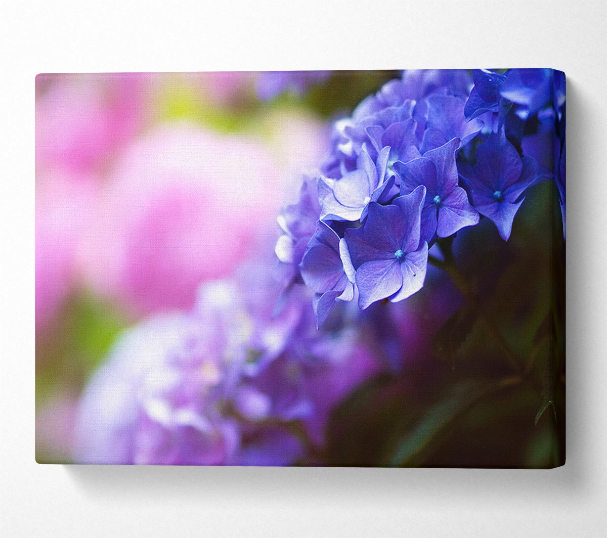 Pretty small purple flowers Canvas Wall Art