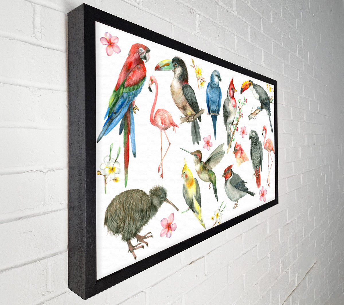 A Collage Of Birds Canvas Print