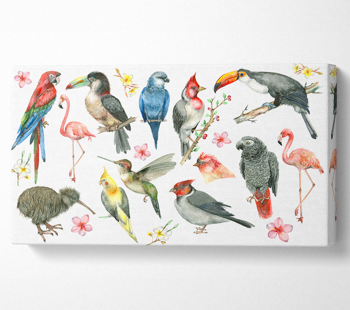 A Collage Of Birds Canvas Print