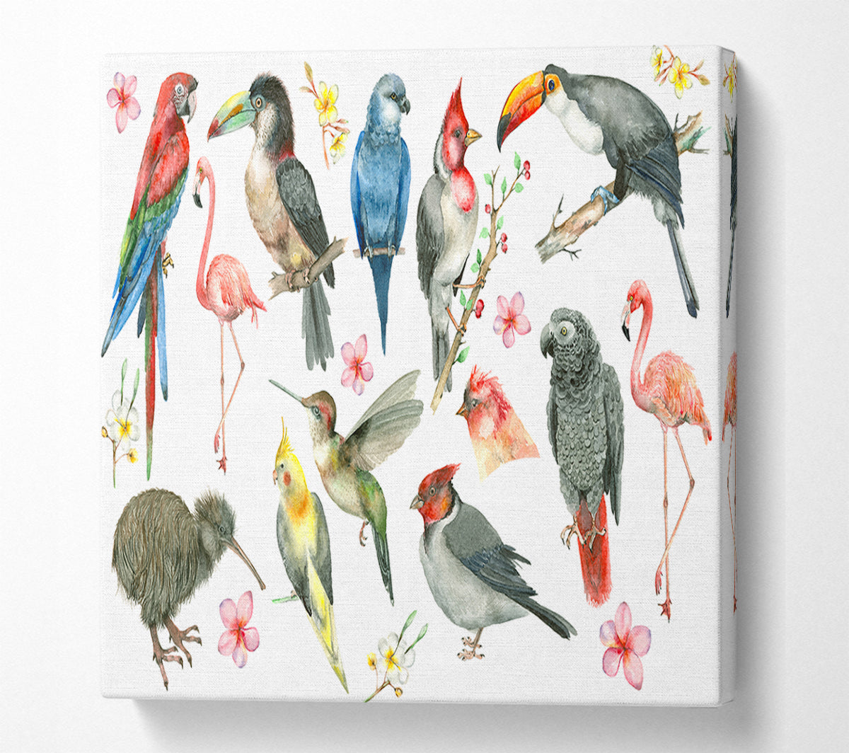 A Collage Of Birds Canvas Print