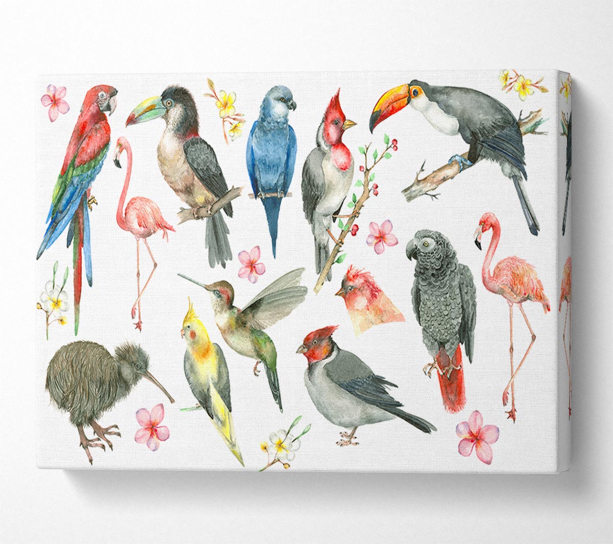 A Collage Of Birds Canvas Print