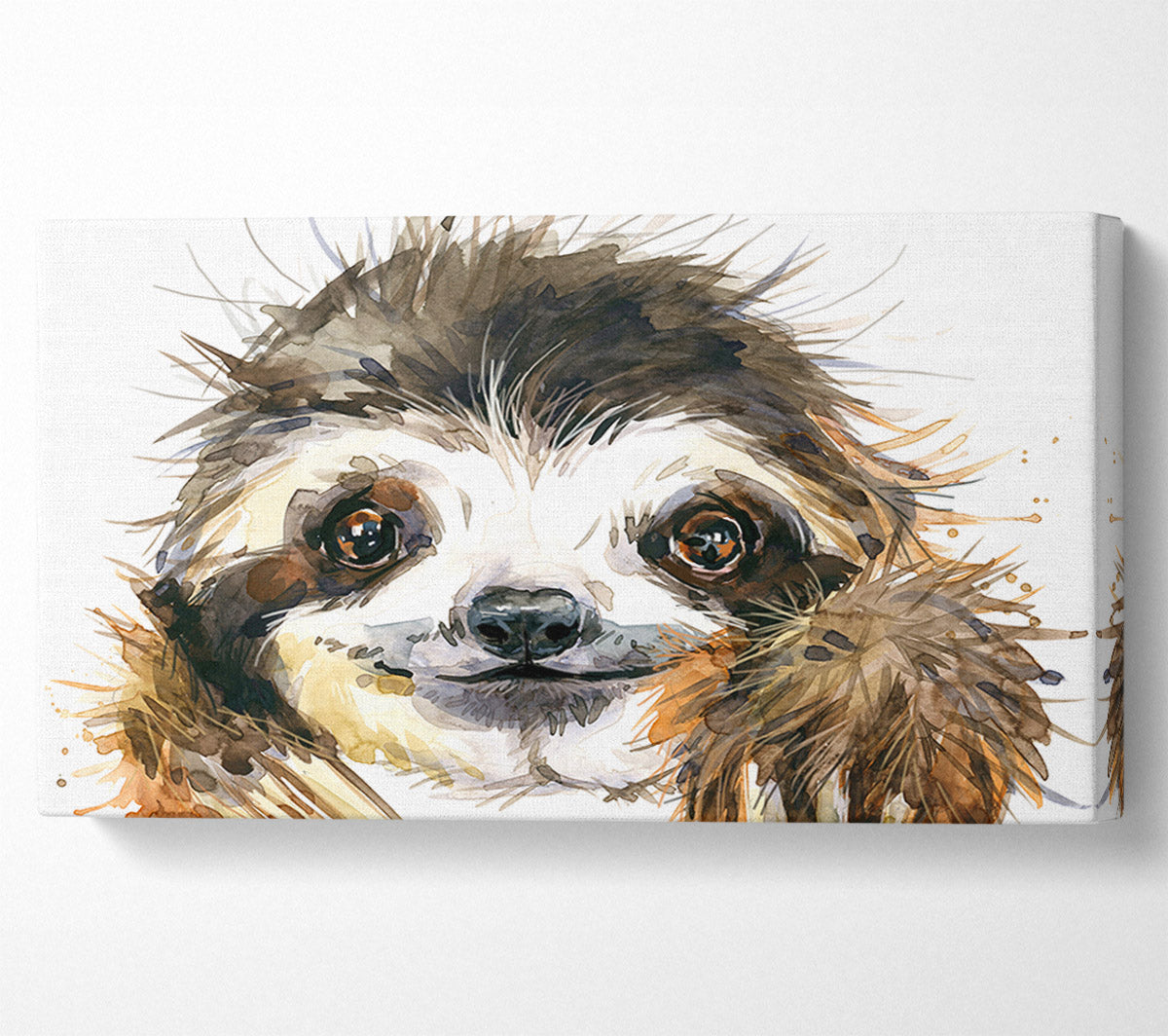 Water Colour Sloth Canvas Wall Art