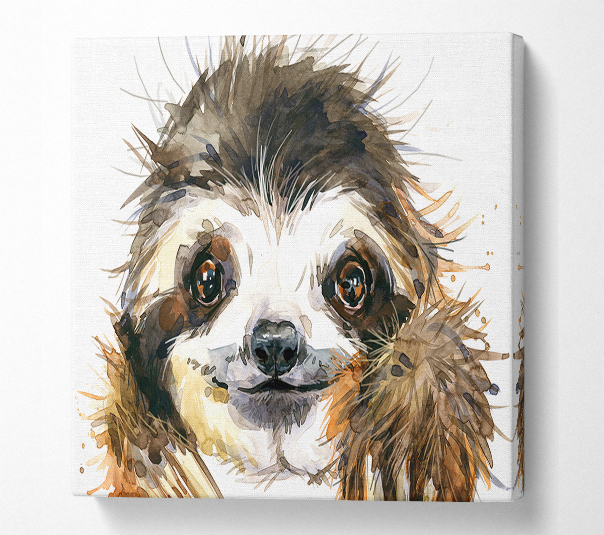 Water Colour Sloth Canvas Wall Art