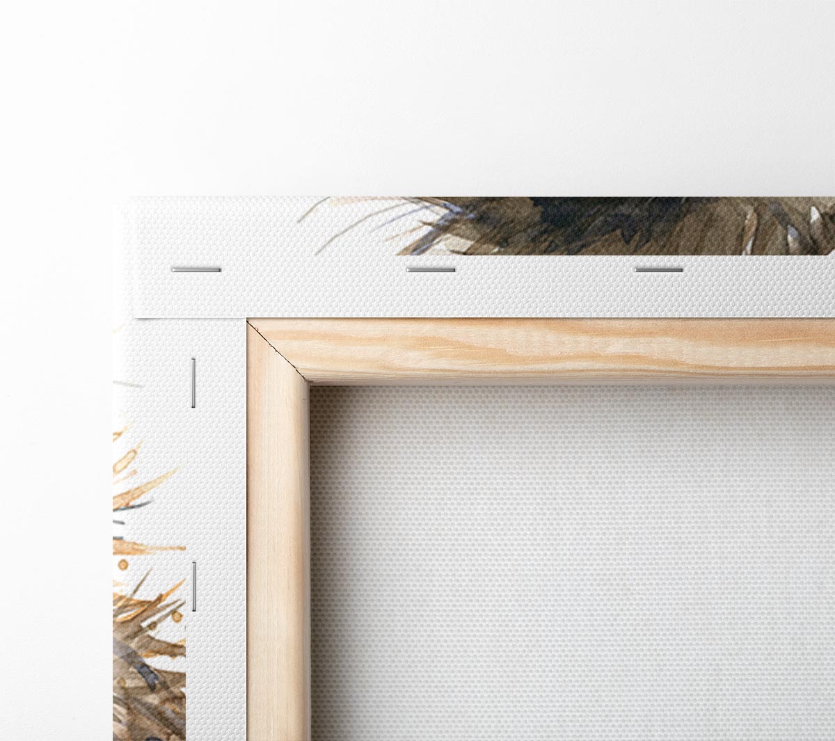 Water Colour Sloth Canvas Wall Art