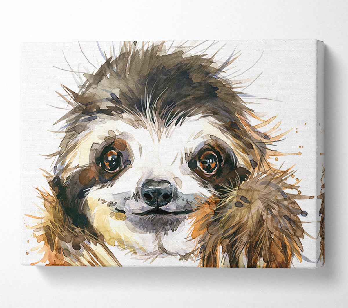 Water Colour Sloth Canvas Wall Art