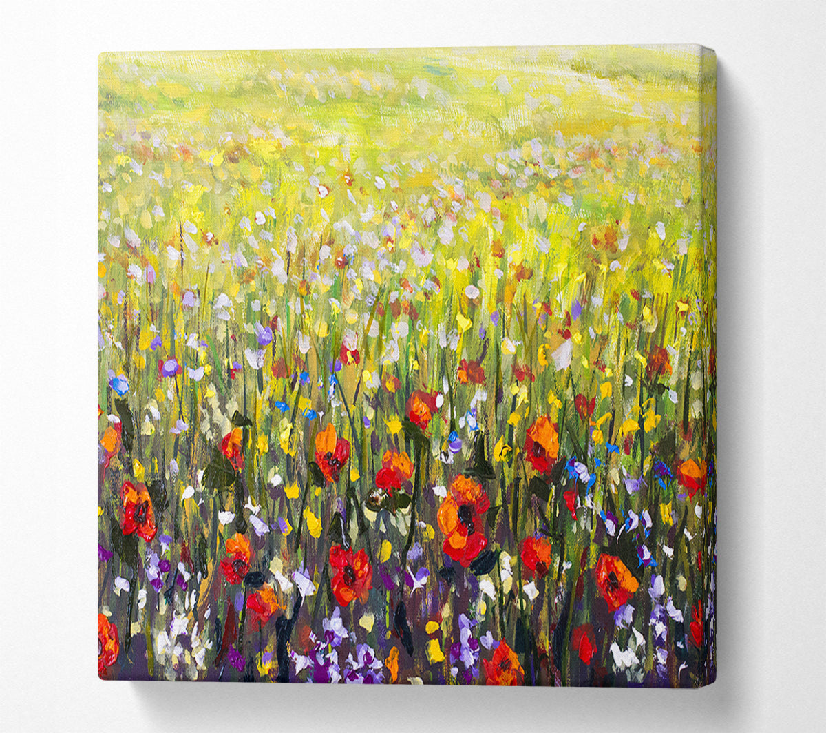 Poppy Field In The Summer Canvas Wall Art