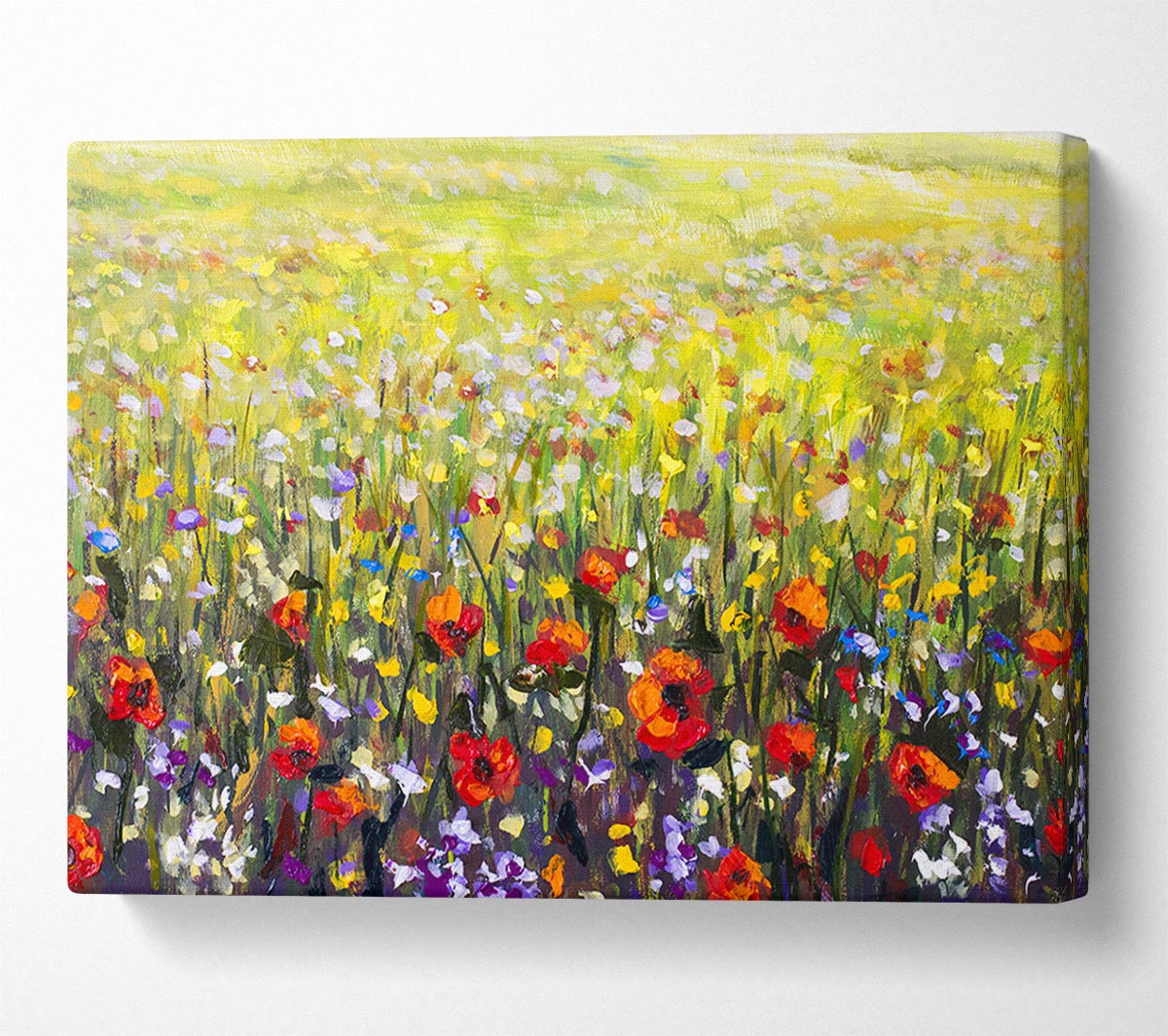 Poppy Field In The Summer Canvas Wall Art