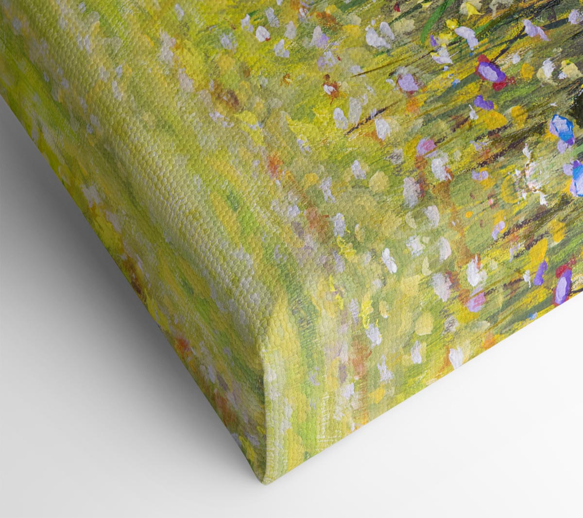 Poppy Field In The Summer Canvas Wall Art