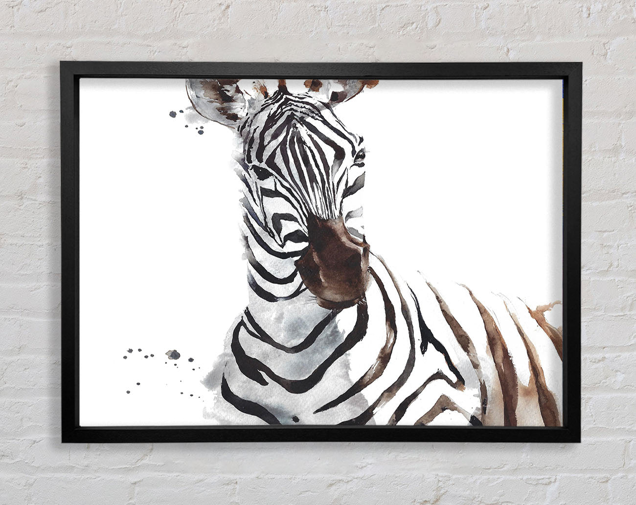 Zebta Splatter Framed Print