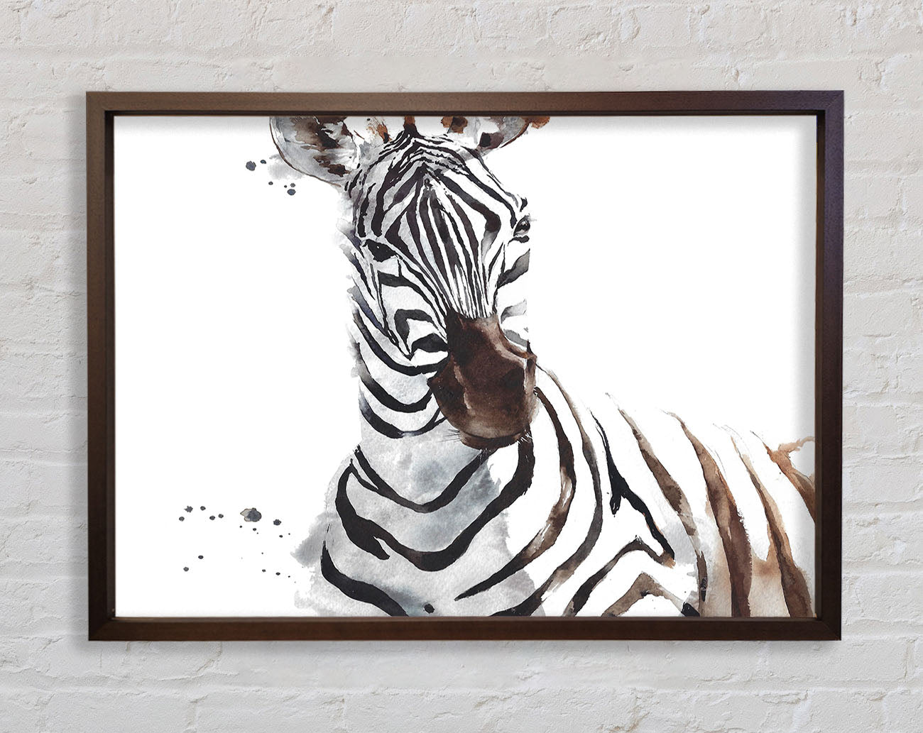Zebta Splatter Framed Print