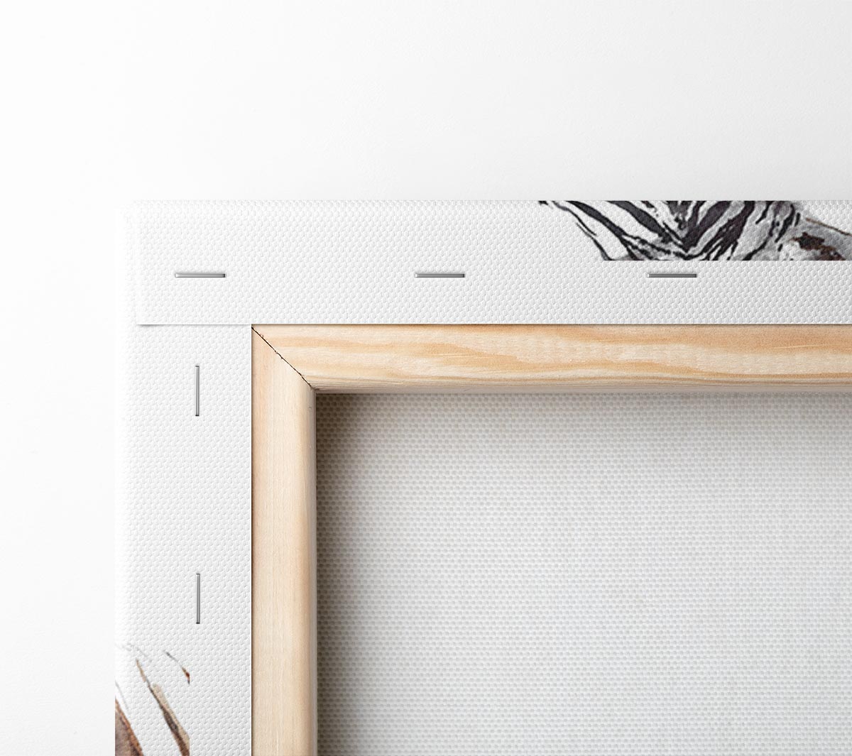 Zebta Splatter Canvas Art